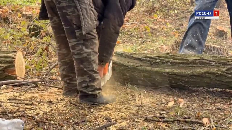 В области продолжается заготовка древесины, чтобы в случае ЧС обеспечить частные дома с печным отоплением