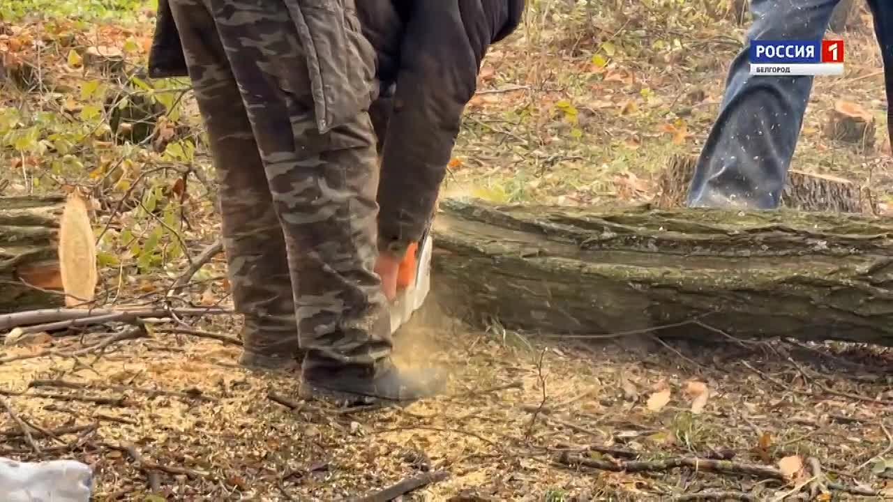 В области продолжается заготовка древесины, чтобы в случае ЧС обеспечить частные дома с печным отоплением