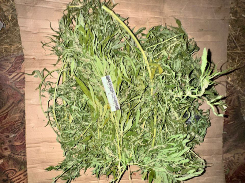 Житель Алексеевского округа подозревается в незаконном хранении наркотиков