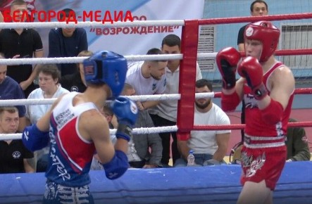 В Белгороде прошли открытые соревнования по муайтай