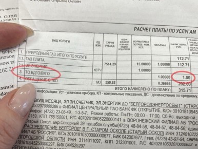 Почему в квитанции белгородцев появилась графа за газовое обслуживание