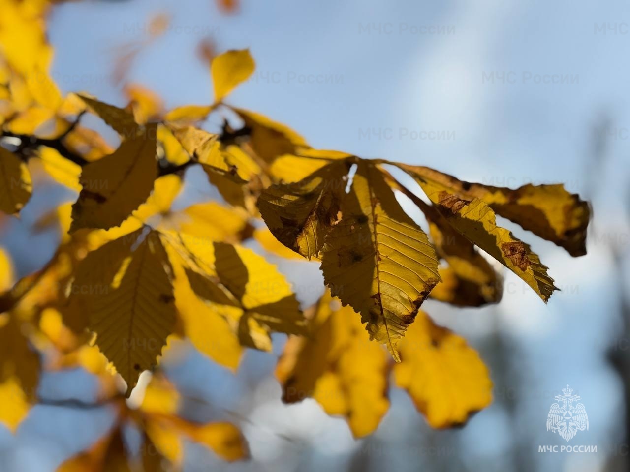 В субботу в регионе ожидается облачная погода