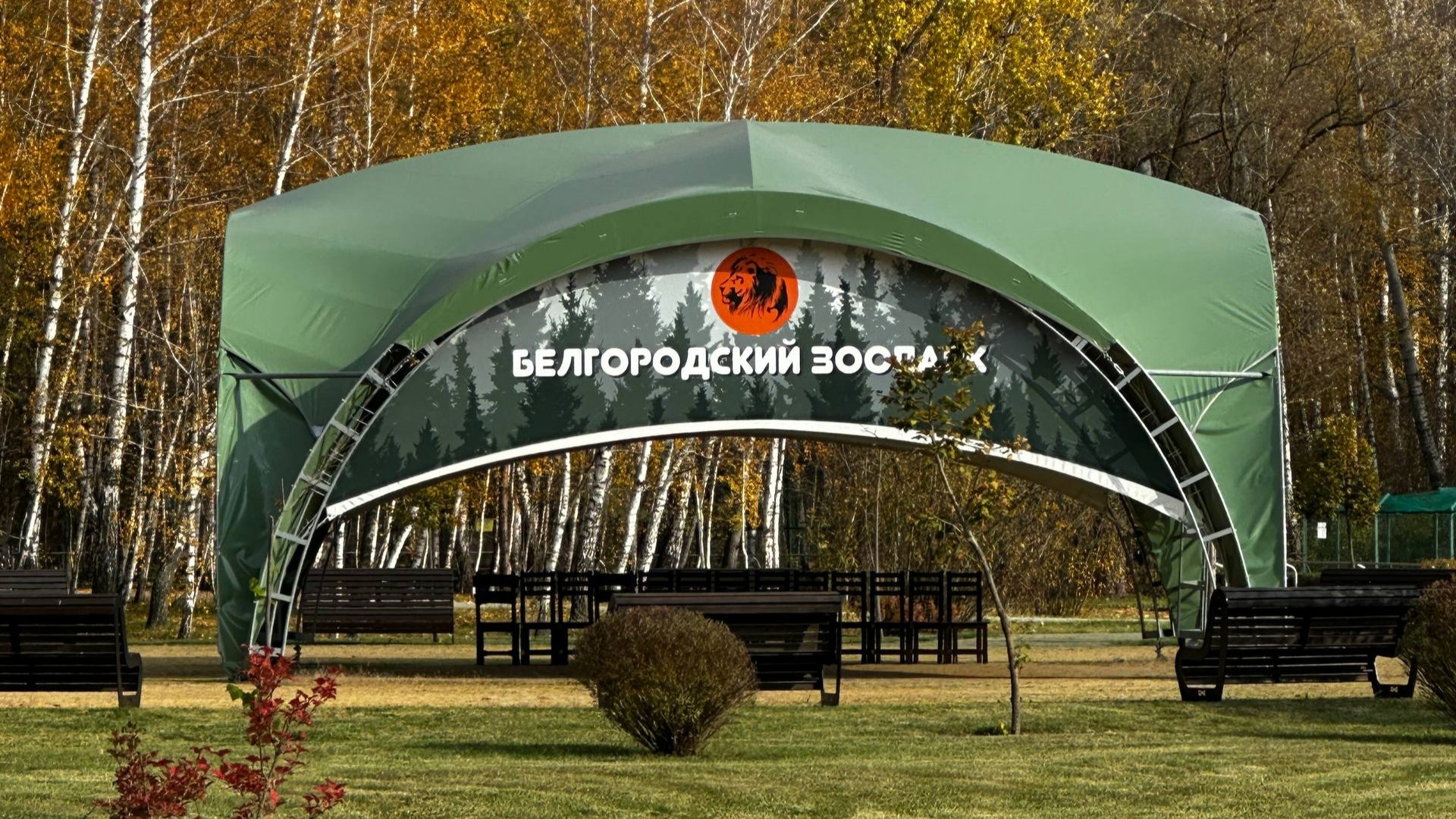 «От первых сирен к рутине: как животные Белгородского зоопарка живут под обстрелами»