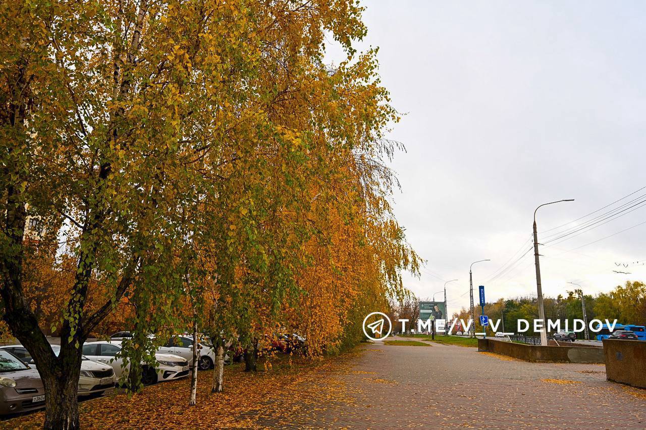 Облик города формирует его ландшафт и озеленение