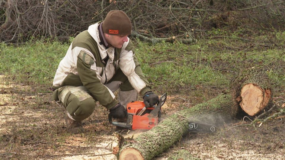 В Белгородской области собрали около 7 тыс. кубометров древесины