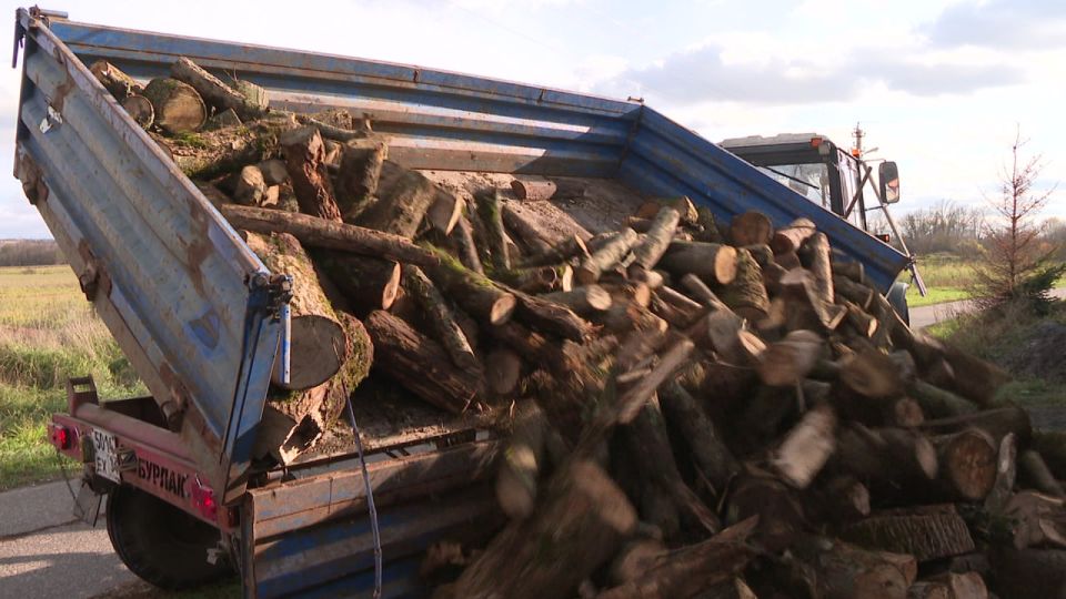 В Белгородском районе поддержали мать участника СВО