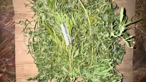 Белгородцу грозит до десяти лет колонии за хранение наркотика