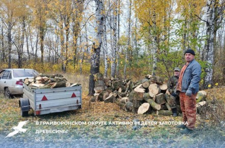 В Грайворонском округе активно ведется заготовка древесины, чтобы в случае ЧС обеспечить частные дома с печным отоплением
