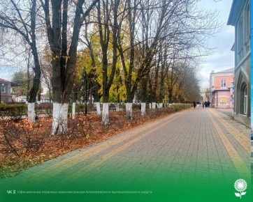 1 ноября. Температура воздуха 10°C, пасмурно, без осадков