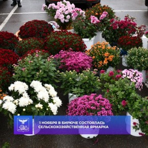 Галина Руденко: В городе Бирюч Красногвардейского района на главной площади состоялась традиционная сельскохозяйственная ярмарка, объединившая местных производителей и покупателей