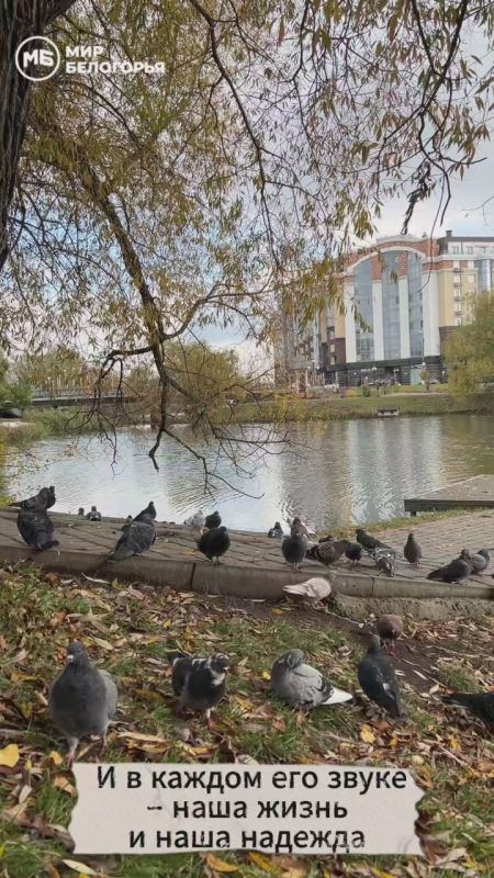 ....     ?   ?    ,  ,  ,   