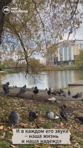 ....     ?   ?    ,  ,  ,   