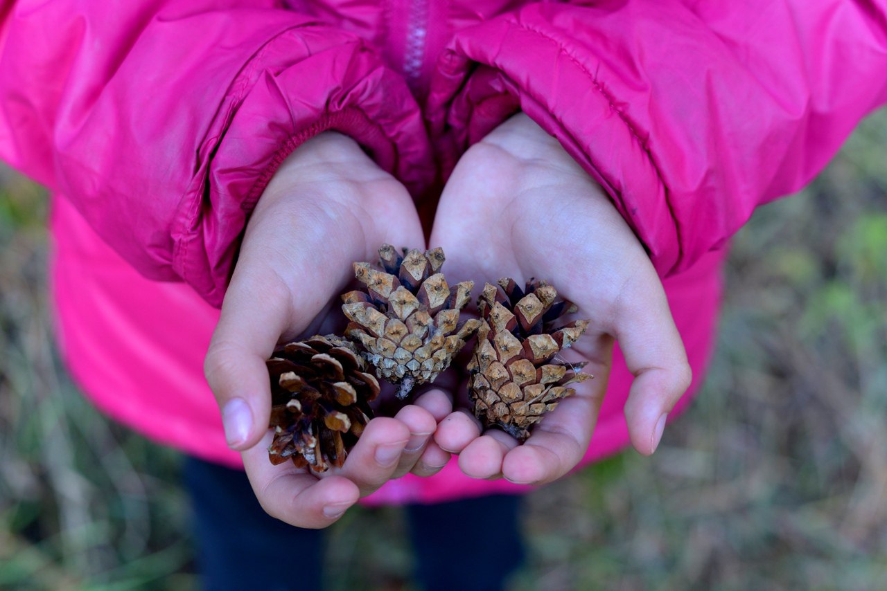 Доброе утро!. В Белгороде 3 ноября будет облачно