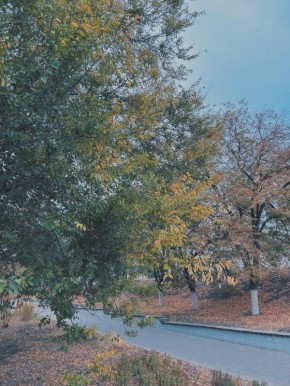 Сегодня, 4 ноября, в Белгороде будет пасмурно с прояснениями