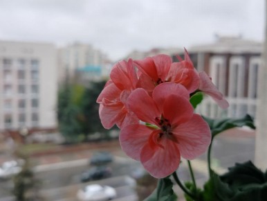 Сегодня, 4 ноября, синоптики обещают облачную с прояснениями погоду