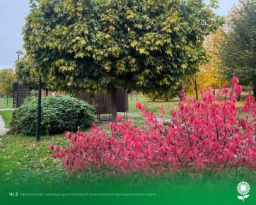 5 ноября. Температура воздуха 11°C, облачно, без осадков