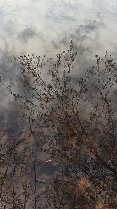  , !.  -       ,   -   ,  ,       