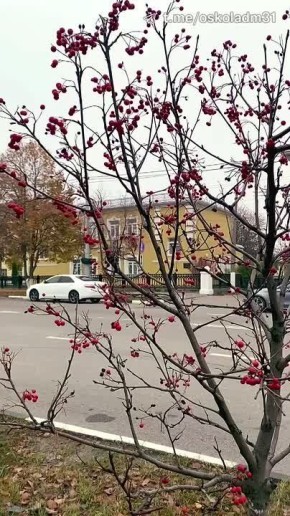 Доброе утро, старооскольцы!