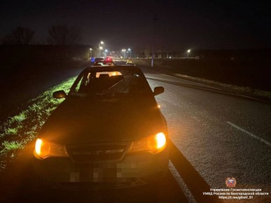 В Белгороде автомобилист наехал на 76-летнюю женщину и скрылся с места аварии