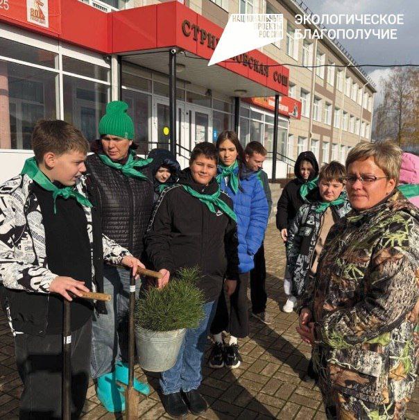 Владимир Переверзев: Юные экологи из Стригунов высадили аллею сосен в рамках акции «Сохраним лес»
