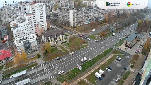 В Белгороде машина столкнулась с диким животным