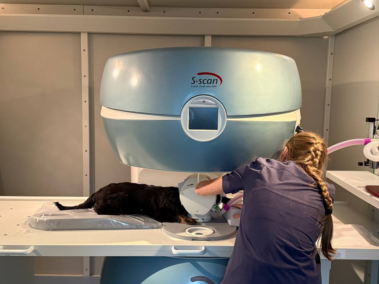 В ветстанции Белгорода заработал ветеринарный МРТ-томограф