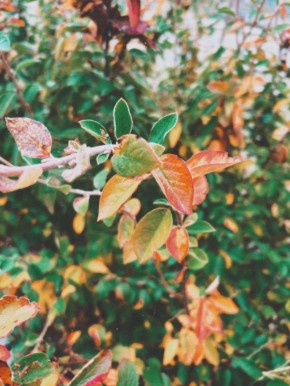 Сегодня, 6 ноября, в Белгороде будет пасмурно