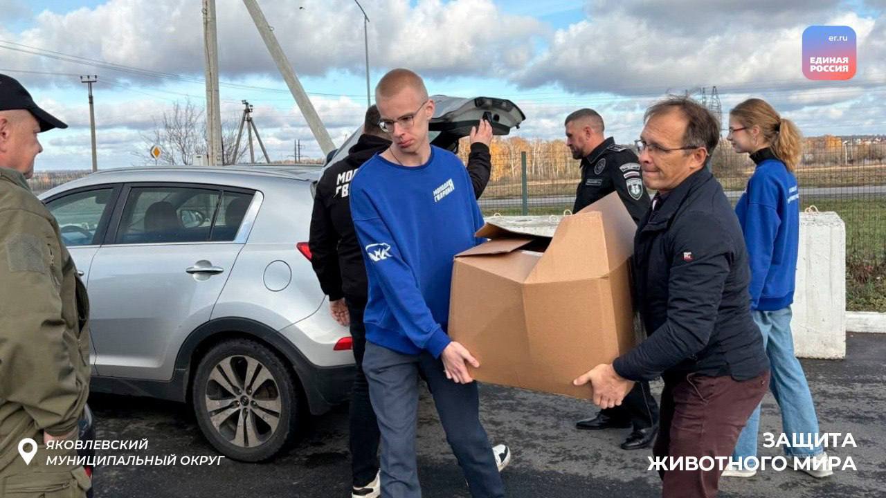 Доброта в поступках: молодогвардейцы помогают четвероногим друзьям