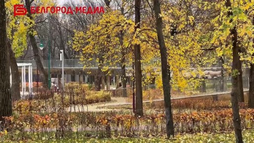 На Мичуринской аллее в Белгороде к компании Ивана Мичурина и Михаила Щепкина присоединился и Владимир Шухов