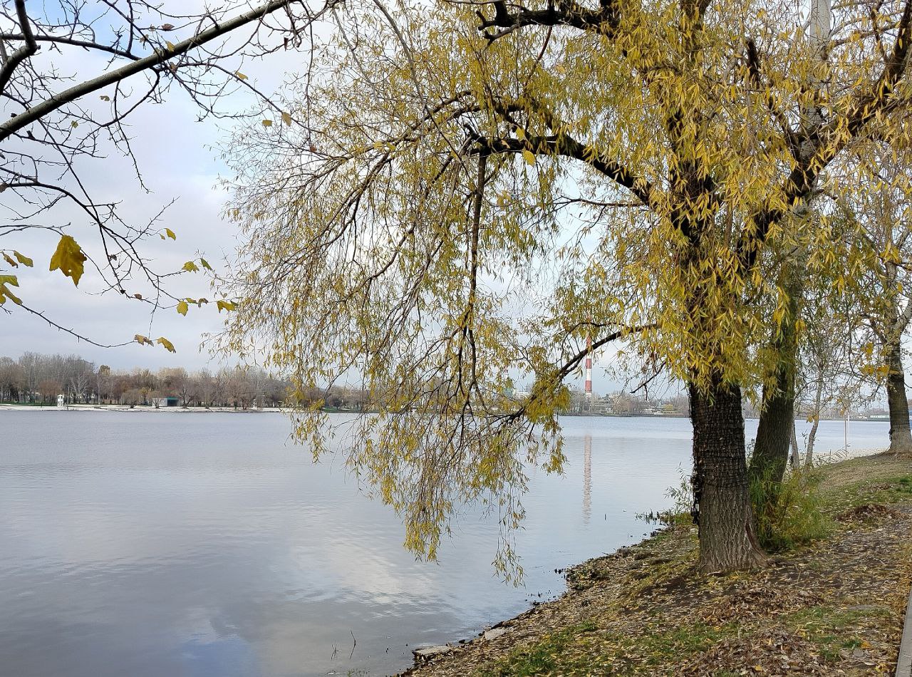 Сегодня, 7 ноября, синоптики обещают облачную с прояснениями погоду