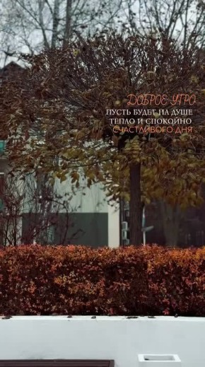 …Если на мгновение остановиться и оглядеться, то можно понять, что природа полностью сменила свою палитру красок