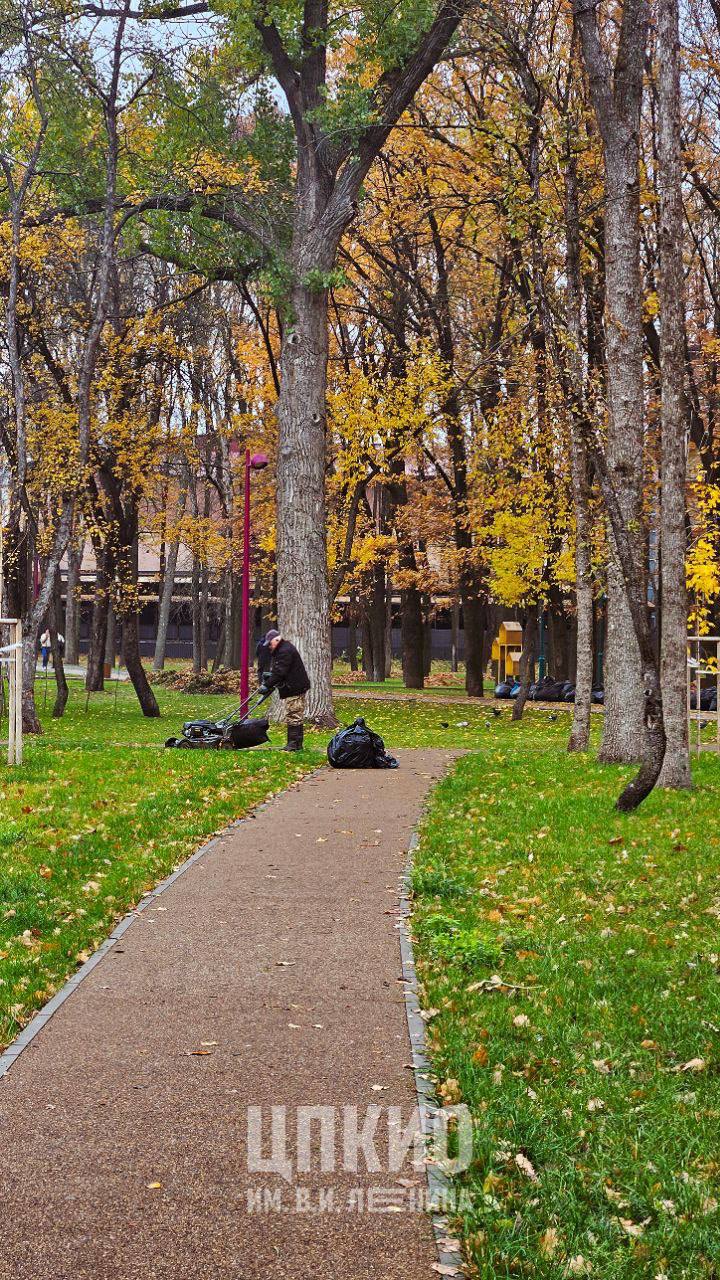 Осенние хлопоты в Парке Ленина