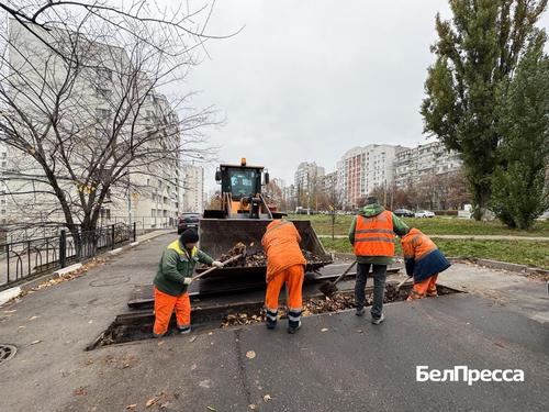 Коммунальщики завершают подготовку Белгорода к зиме: