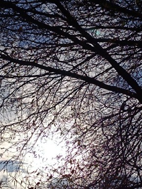 Сегодня, 8 ноября, в Белгороде будет солнечно