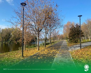 8 ноября. Температура воздуха 13°C, переменная облачность, без осадков