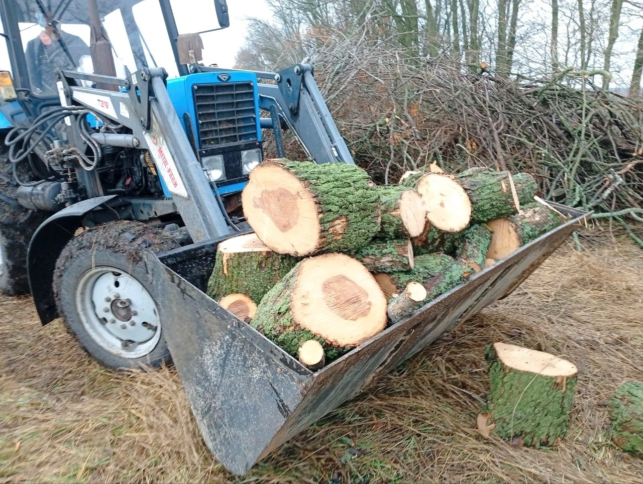 В нашем округе активно ведётся заготовка дров к предстоящей зиме