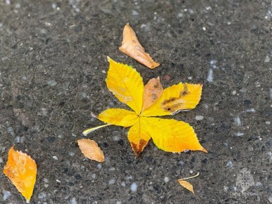 Завтра на территории региона ожидаются дожди