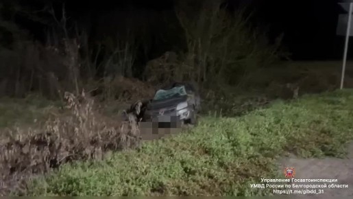 17-       ,       52- 