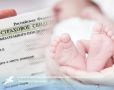 С начала 2025 года новорождённым в Белгородской области было оформлено 7956 СНИЛС