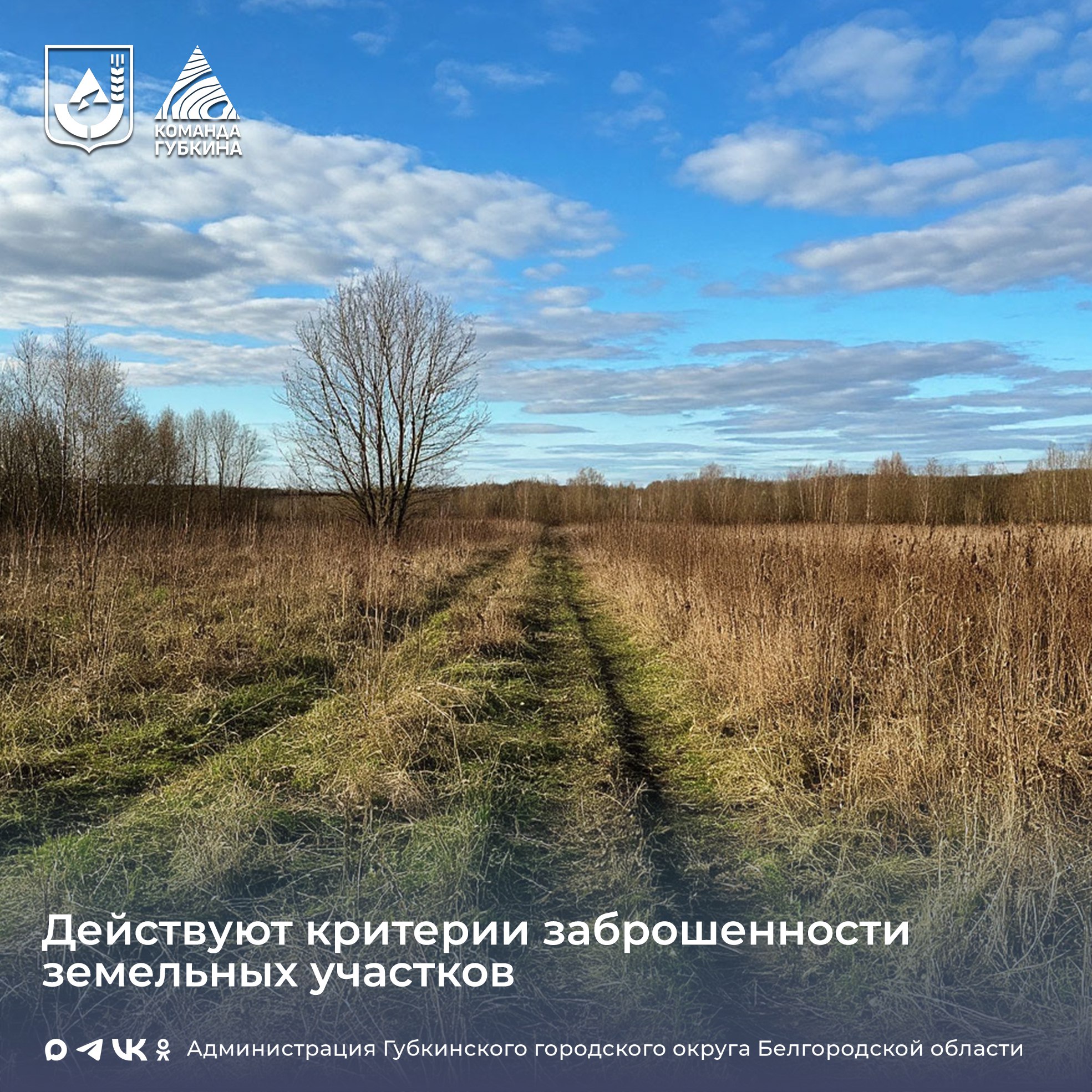 Что нужно знать владельцам заброшенных земельных участков