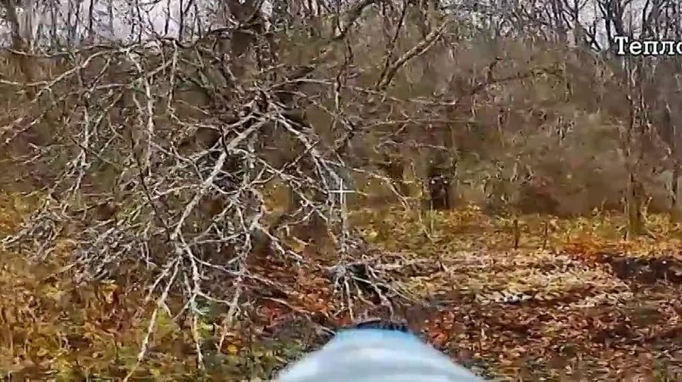 ЭКСКЛЮЗИВ: ОТРЯД «АНВАР» ПРОДОЛЖАЕТ УНИЧТОЖАТЬ ВРАГА!