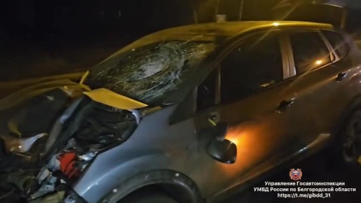 #_.   ,   17  25   23    -  -  45- ,    ,    70- ...