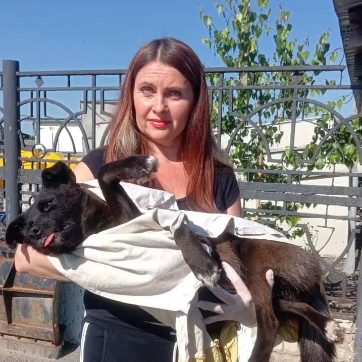 Сегодня — Всемирный день доброты!