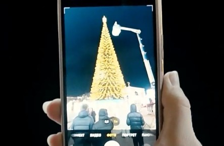 В Белгороде устанавливают новогоднюю ёлку на Соборной площади