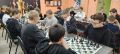 Вчера на базе Вейделевской спортивной школы прошли районные соревнования по шахматам среди команд общеобразовательных организаций дивизиона «Б», в рамках 68-й Спартакиады школьников в 2025 – 2026 учебном году