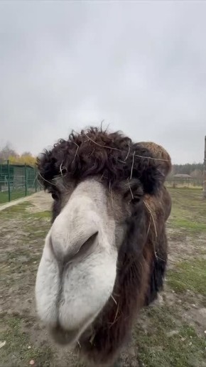 Завтра на дорогах обещают гололедицу, и тепло, видимо, прощается с нами
