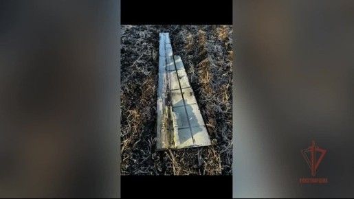 Свыше 100 беспилотников ВСУ сбили в Белгородской области из стрелкового оружия за месяц росгвардейцы