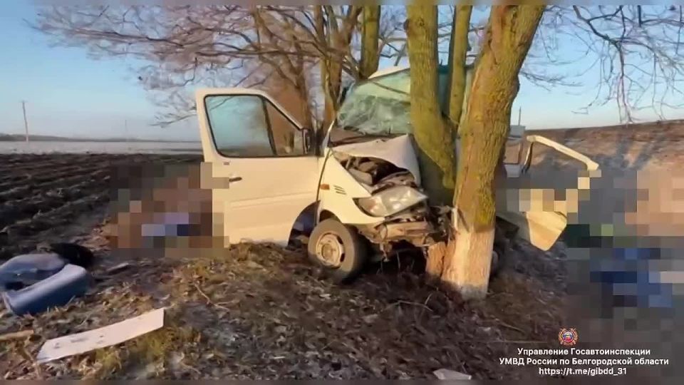 СК возбудили дело после гибели двух человек в ДТП в Красногвардейском районе