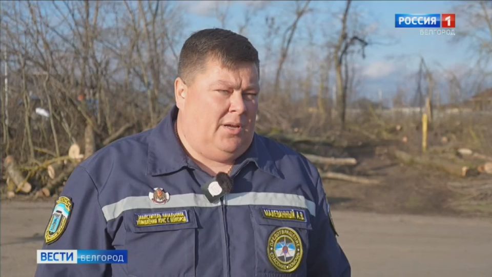 На случай ЧС для белгородцев, которые живут в домах с печным отоплением, в областном центре заготовят более 4 000 кубометров древесины