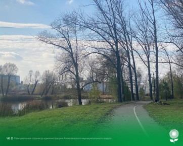 17 ноября. Температура воздуха 9°C, облачно, без осадков